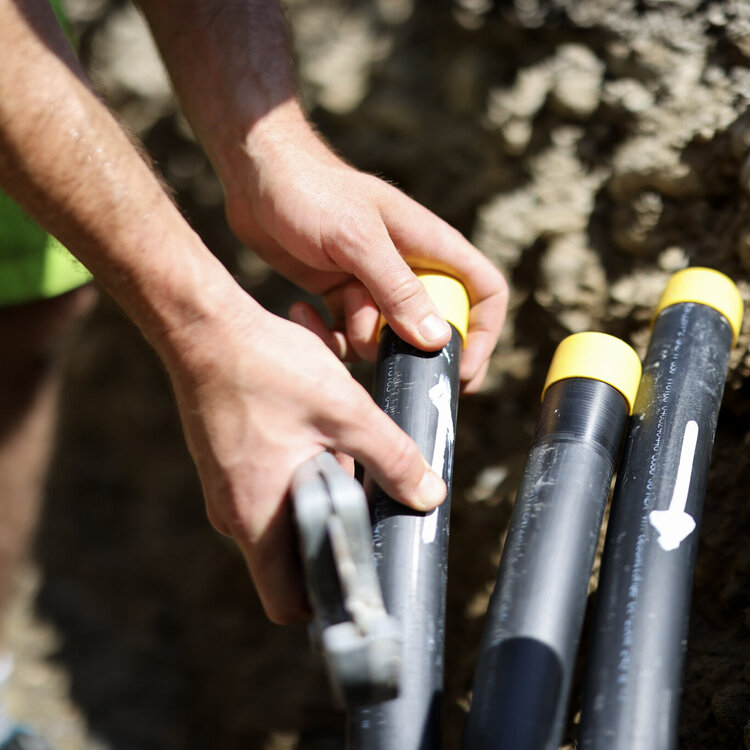 Galerie - Sonderverlängerungen