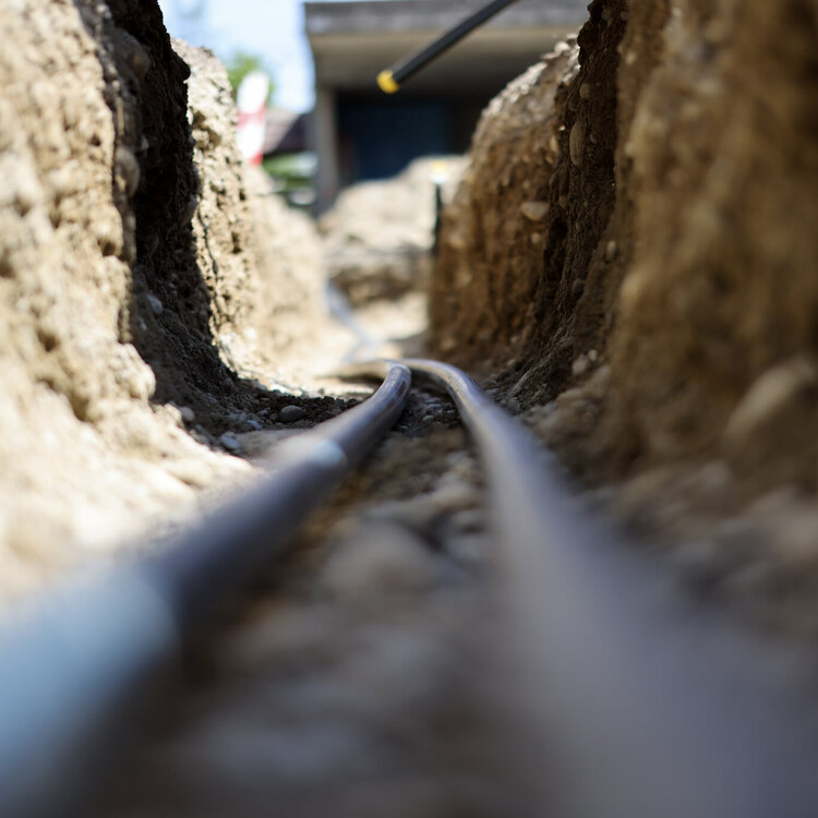 Galerie - Sonderverlängerungen