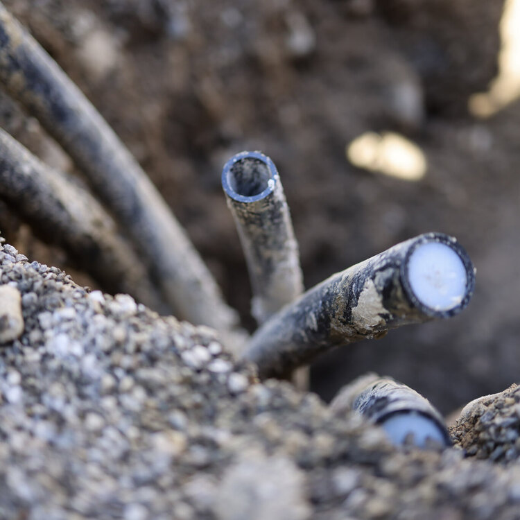 Galerie - Sonderverlängerungen